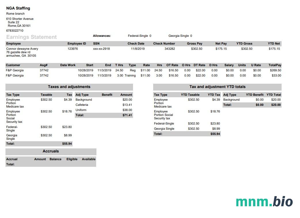 Nga Staffing pay stub w formacie PDF i Word